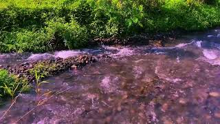 BEAUTIFUL STREAM IN DEEP FOREST: RIVER SOUNDS FOR SLEEP AND RELAXATION