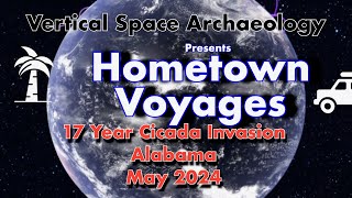 Cicadas In Alabama - 17 Year Cicada Invasion - May 2024