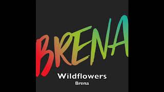 Wildflowers - Brena (Tom Petty Cover)