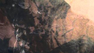 Holland Oats (Official Video)