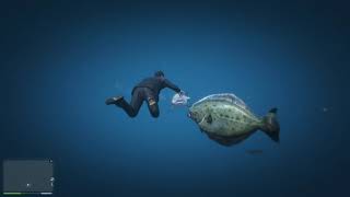 Out of Your Depth | 100% Shark Spawn | Read Description | You're gonna need a bigger boat | GTA 5