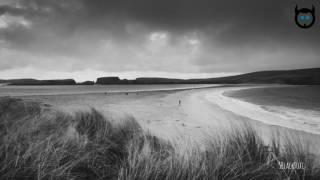 Julien Marchal - Insight XIV