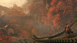 Sekiro shadows die twice beauty