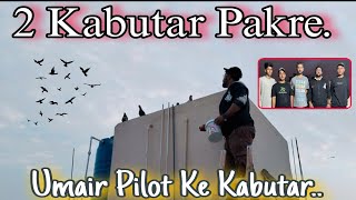 😲 Umair Pilot Ke Kabutar Ne Kamaal Kar Diya | Aaj Ka Shouq Yaadgar 🕊️