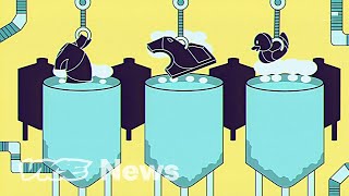 How To Grow Clothes With Yeast