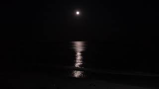Full Moon Over The Beach