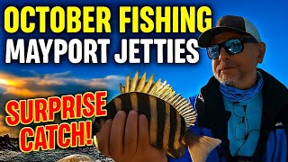 October Jetty Fishing: Sheepshead Action & a Turtle Rescue