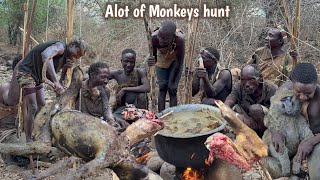 Witness Hadzabe Tribe Massive Baboon Monkey Hunts & Wild Cooking || True Bushmen