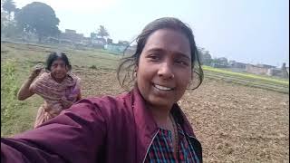 गाजर का हलवा बनाए ! Village vlogs  family vlogs daily vlog