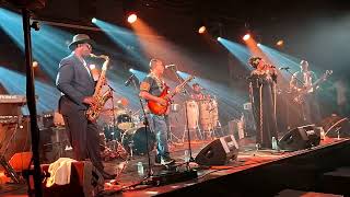 Dur Dur Band International live @ WOMEX Tampere, Finland, 2025