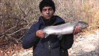 Father & Son Fall Steelhead Fishing Ny 2013
