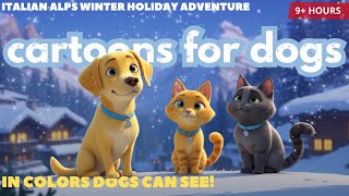 Calm Mountain Holiday Cartoons for Dogs ❄️ | 🎆  in Colors they See + Gentle Sleep Music