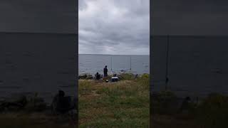 Sandy hook