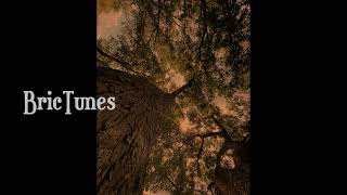 Hold Back  - Brictunes