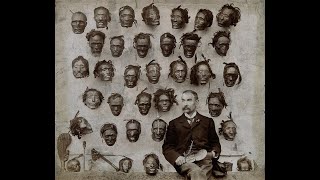 Mokomokai The Trophy Heads