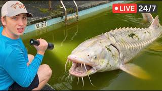 Bass fishing Productions LIVE: March Week 2 | Stream Highlights