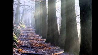 Enlightened Path