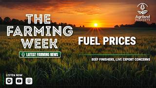 Fuel Prices | Beef Finishers | Live Export Concerns