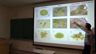 Christopher Cardona-Correa Exit Seminar