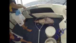 Nathan Byrne monster cod in Kalbarri