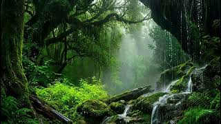 Heavy Rain In A Green Forest With Emotional Piano Music For Sleep And Mental Clarity Time Now