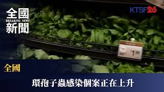 全美爆發環孢子蟲感染！逾800宗確診源頭未明 專家警告：生菜莓果恐藏寄生蟲｜KTSF26