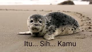 Itu... Sih.... Kamu.. ( Hip Hop, Upbeat )
