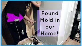 Found Mold in our Home