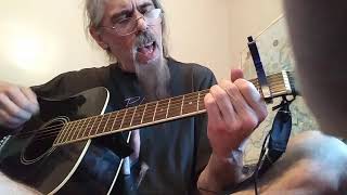 Stray cat strut (stray cats cover)