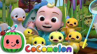 Five Little Ducks 2  CoComelon Nursery Rhymes & Kids Songs