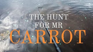 Catching a Stunning Koi Carp - The Garden Pool Revisited -  - Danny's Angling Blog
