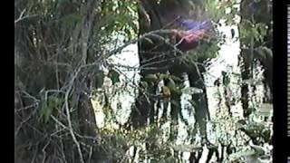 Hibachi Kid - Away From It All