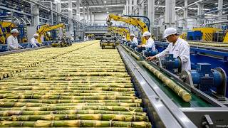 HOW CANE SUGAR IS MADE IN THE FACTORY 🍬 | Mega Factories