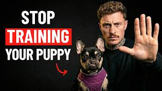 How To Create A Reactive Dog (Without Realising It)