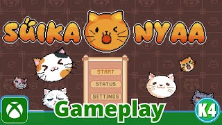 Cat Fusion Madness Begins! | Suika Nyaa | Xbox Gameplay