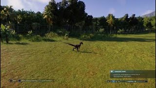Jurassic World Evolution 2 - Velociraptor Feeding
