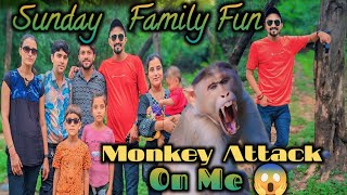 Sunday Family Trip Pe Monkey 🐒 Ne Attack Kar Diya Mere Pe😱 #amulprajapati #familyvlog