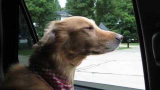 Call Me The Breeze - J. J. Cale Cover