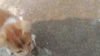 Tasmia Tabassum  is live