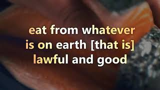 Surah Al -Baqarah Verse :168-169