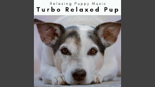 Soft Sounds for Cuddly Dogs