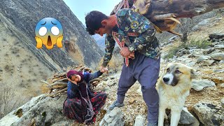 A Hard and Painful Nomadic Life 💔😱😔Collecting Firewood While Enduring Toothache and Daily Struggle