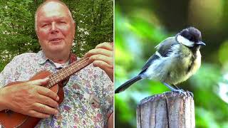 Oh when the Saints - Ukulele und Gesang