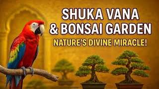 #Shukavana #Mysuru #travel #nature #yt #parrot #spirituality #plants #bonsai #garden #educational 