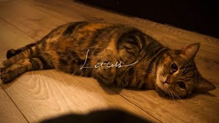 How I make my day better｜ Living a simple small life｜Self Care Vlog
