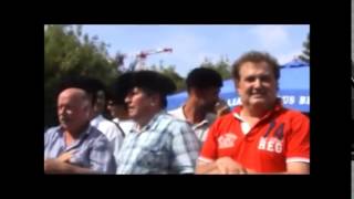 Les Antis -  Les arènes en feux ( 2014 )
