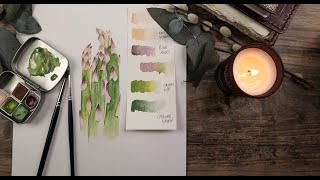 Asparagus with Watercolour Tutorial