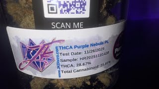 PURPLE NEBULA 🤤🤤🤤