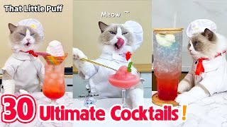 Meow Chef: 30 Ultimate Cocktails! 🍹| That Little Puff