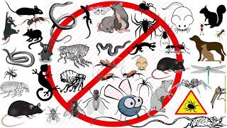 Anti Insects Frequency [Ultrasonic Pest Control] To Remove All Kinds Of Insects